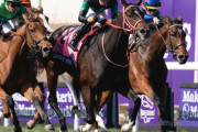 【海外馬参戦は史上初】アメリカ最強牝馬ウォーライクゴッデス　有馬記念へ！