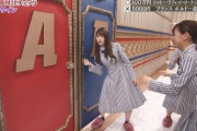 【日向坂46】昨年の『芸能人格付けチェック』を振り返ってみようｗｗｗｗｗｗ