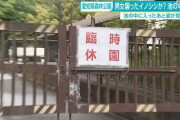 愛知県林森林公園で男女襲ったイノシシ、池で溺れ…