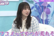 【日向坂46】おひさま、「汎用性の高い画像を貼る祭り」をした結果www