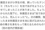 【画像】秋篠宮さまってやばい子供だったんだなｗｗｗｗｗｗｗｗ