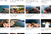 釣りYoutuber、海で猫を助けただけで人生大逆転で年収億超えｗｗｗｗｗｗ