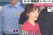 【画像】有名女YouTuber、わいせつ動画配信して逮捕 ｗｗｗｗｗｗ
