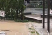 【動画】 昼間の公演で人目も気にせずやっちゃってるカップル・・ 衝撃動画が流出