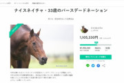 【朗報】ナイスネイチャのバースデードネーション、開始3時間で目標額到達