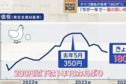 タマゴの価格が急落して180円に 有識者｢高騰で買う人が減って余ってる｡今が一年で一番の買い時｣