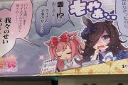 【ウマ娘】コミケでアホほど並ぶ列なんてウマ娘にはないやろ流石に。←「去年はこうだぞ（ファッ！？）」
