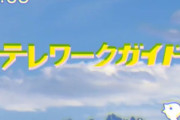 「完全にツボ」「面白さを通り越して感動」　Twitterに投稿された動画「テレワークガイド」がレースガイド世代に突き刺さる