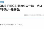 ルフィ「宴だぁぁぁ～！」ゾロ「待て、コロナウイルスって知ってるか？」