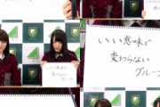 【櫻坂46】「一人一人が輝けるグループ」「いい意味で変わらないグループ」←コレ