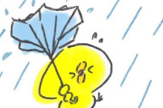 雨の日曜日、みんな何してるの？？