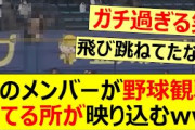 あのメンバーが野球観戦してる所が映り込むwww【乃木坂46・乃木坂配信中・乃木坂工事中・向井葉月】