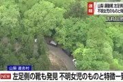 山梨県道志村　もう片方の運動靴を発見　きのうに続き小倉美咲さんの靴と同じ特徴