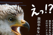 【風評加害＆差別】共産市議ら「Stop Fukushima Water Release Now（和訳：福島水の放出今すぐ止めろ）」（スクショあり）