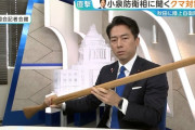 小泉進次郎防衛相、クマ対策にあたる自衛隊員が銃携行しない理由語る「手負いのクマほど…」