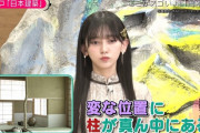 池田瑛紗ちゃん、非常に良い質問をする！！！【乃木坂46】