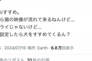 【朗報】松本人志さんの笑いのセンス、健在だったｗｗｗｗｗｗｗｗｗ