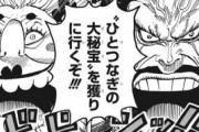 【疑問】ワンピースでこれから出てくるワンピース海賊団の敵ってさｗｗｗ