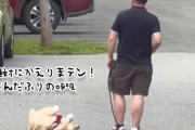 絶対に帰りたくないゴールデン。死んだふりして飼い主を困らせるも強制撤収