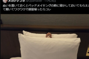 【悲報】＃学マスぬいぬい部 Twitterのホテル従業員らに「客のものは触らない」「ベッドメイキングの邪魔」「自分の遊びに清掃員を巻き込まないで」など心無い言葉を浴びせられてしまう