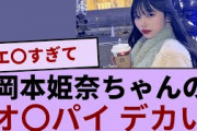 岡本姫奈ちゃんの立体感！！！ 【坂道オタ反応集】【乃木坂46 2chまとめ】#岡本姫奈 #2chまとめ#乃木坂46 車道側