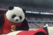 中国人「成田空港で目撃された搭乗前のサッカー日本代表メンバーの様子」　中国人「私が最も期待しているチーム」「仲が悪いの？」