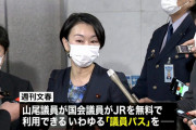 N党･丸山穂高「山尾議員の議員パス不正利用の件、政府不祥事へは調査して全て出せというのに」