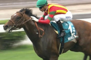 【競馬】モーリス安田記念の鞍上はＴベリー(偽ベリー)に決定